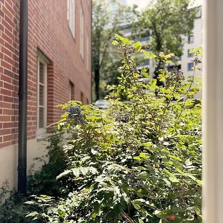 Apartment Natural In The Center - Old Town *
